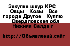 Закупка шкур КРС , Овцы , Козы - Все города Другое » Куплю   . Свердловская обл.,Нижняя Салда г.